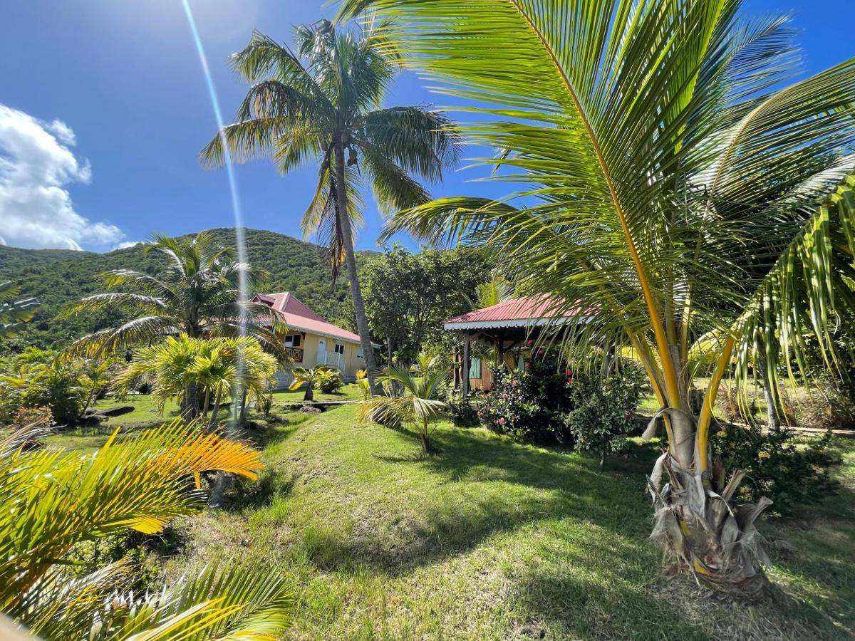 Residence Coco D'Iles, Gite Ti Bambou Terre-de-Bas Exterior foto